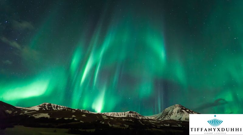 Captivating Night Skies: How to Prepare for Your Northern Lights Adventure